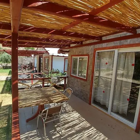 Calba Hause Turunç