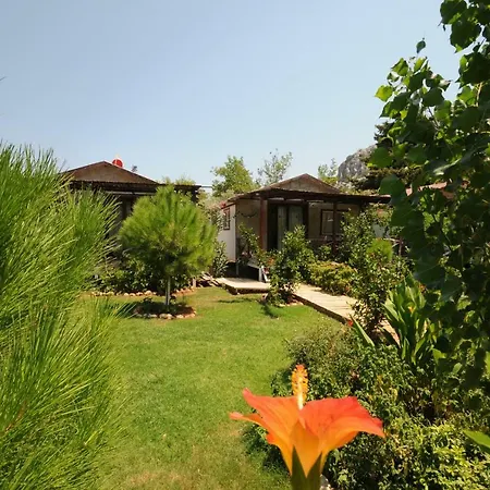 Feriegård Calba Hause Turunç